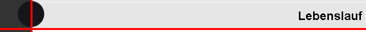 Lebenslauf